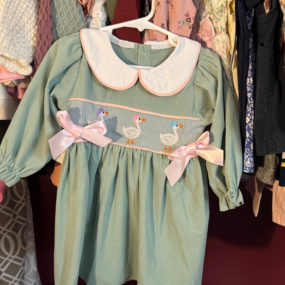 Adorable Green Dress with Duck Embroidery